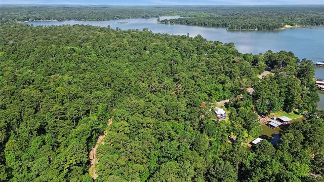 20 Lower Cove Drive, Point Blank, TX 77364