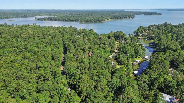 20 Lower Cove Drive, Point Blank, TX 77364