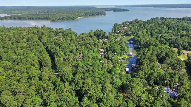 20 Lower Cove Drive, Point Blank, TX 77364