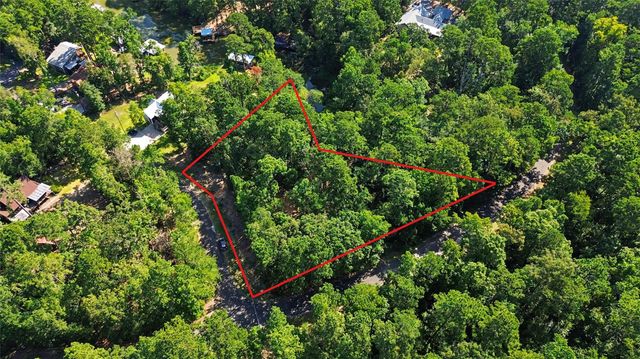 20 Lower Cove Drive, Point Blank, TX 77364