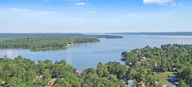 20 Lower Cove Drive, Point Blank, TX 77364
