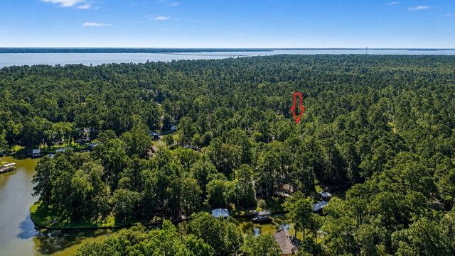 20 Lower Cove Drive, Point Blank, TX 77364