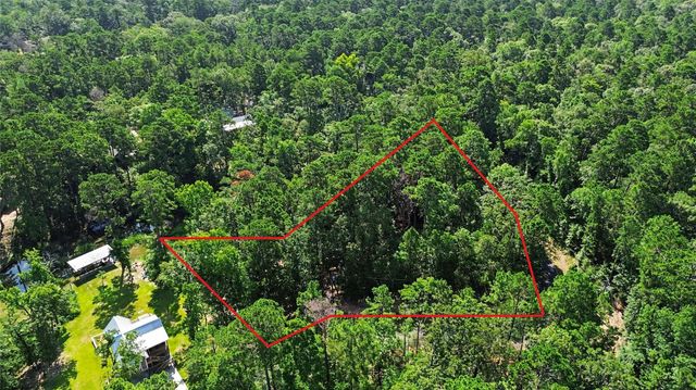 20 Lower Cove Drive, Point Blank, TX 77364
