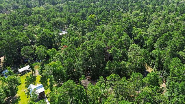 20 Lower Cove Drive, Point Blank, TX 77364