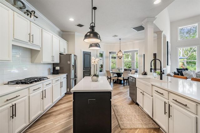 14707 CANOPY DRIVE, Tampa, FL 33626