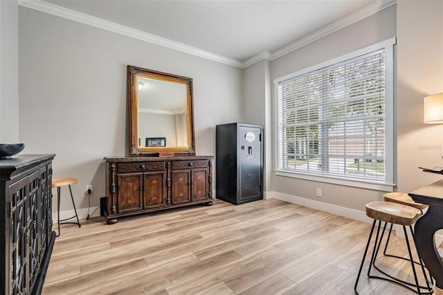 14707 CANOPY DRIVE, Tampa, FL 33626