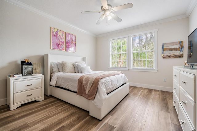 14707 CANOPY DRIVE, Tampa, FL 33626