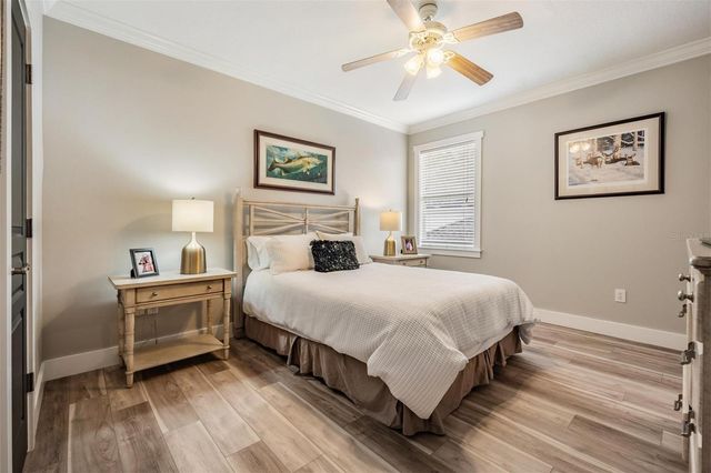 14707 CANOPY DRIVE, Tampa, FL 33626