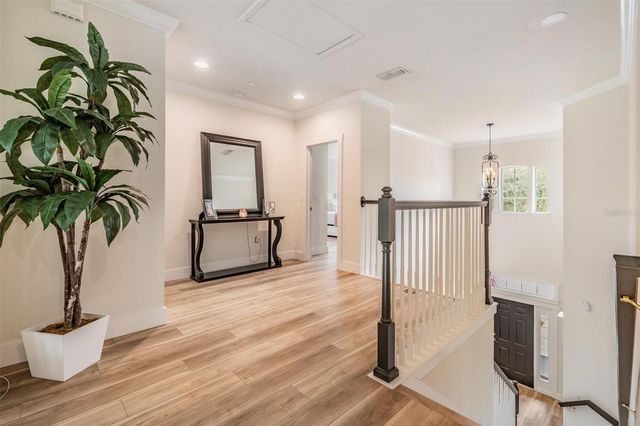 14707 CANOPY DRIVE, Tampa, FL 33626