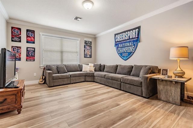 14707 CANOPY DRIVE, Tampa, FL 33626