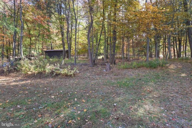 165 CHAIN SAW RD, Dillsburg, PA 17019