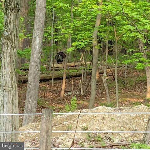 165 CHAIN SAW RD, Dillsburg, PA 17019