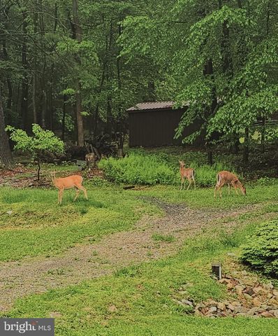 165 CHAIN SAW RD, Dillsburg, PA 17019