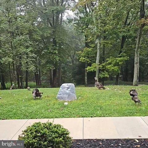 165 CHAIN SAW RD, Dillsburg, PA 17019