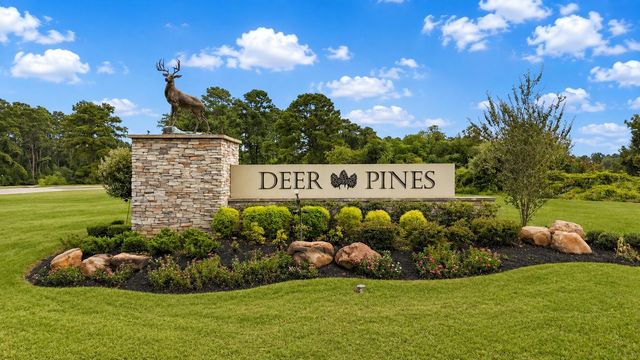 13432 Maverick Trail Road, Conroe, TX 77303