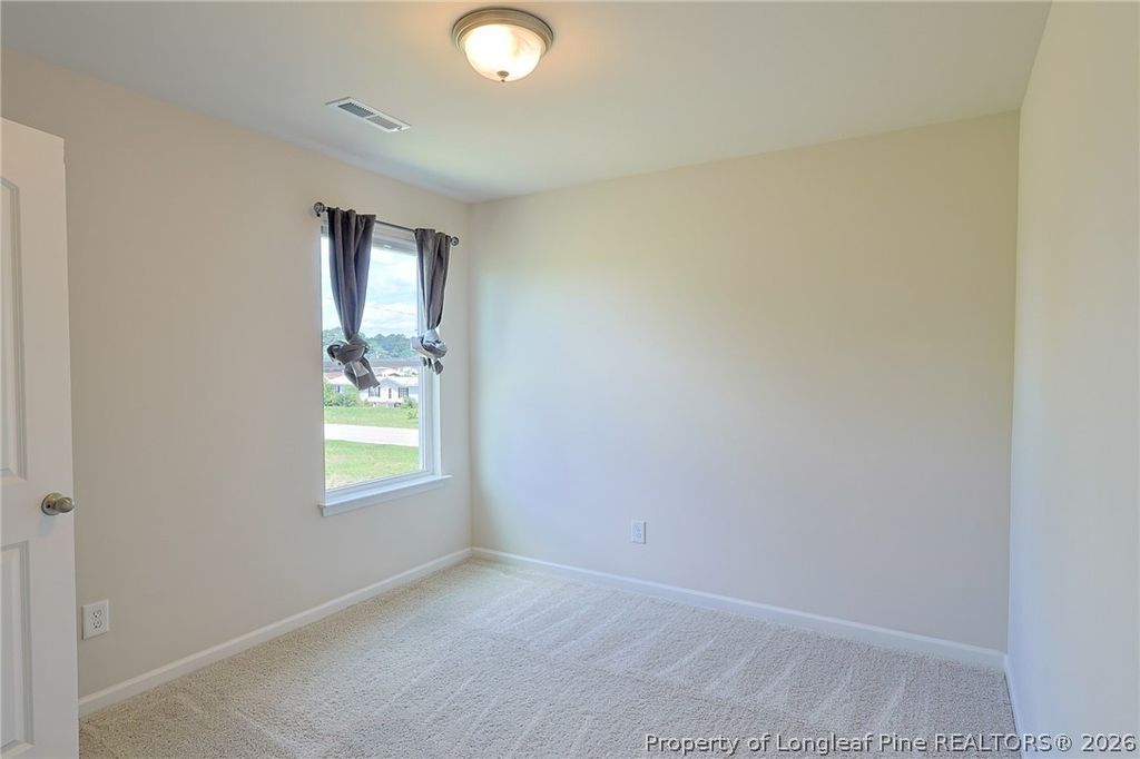 5565 Old US 421 Highway, Lillington, NC 27546 — photo 19