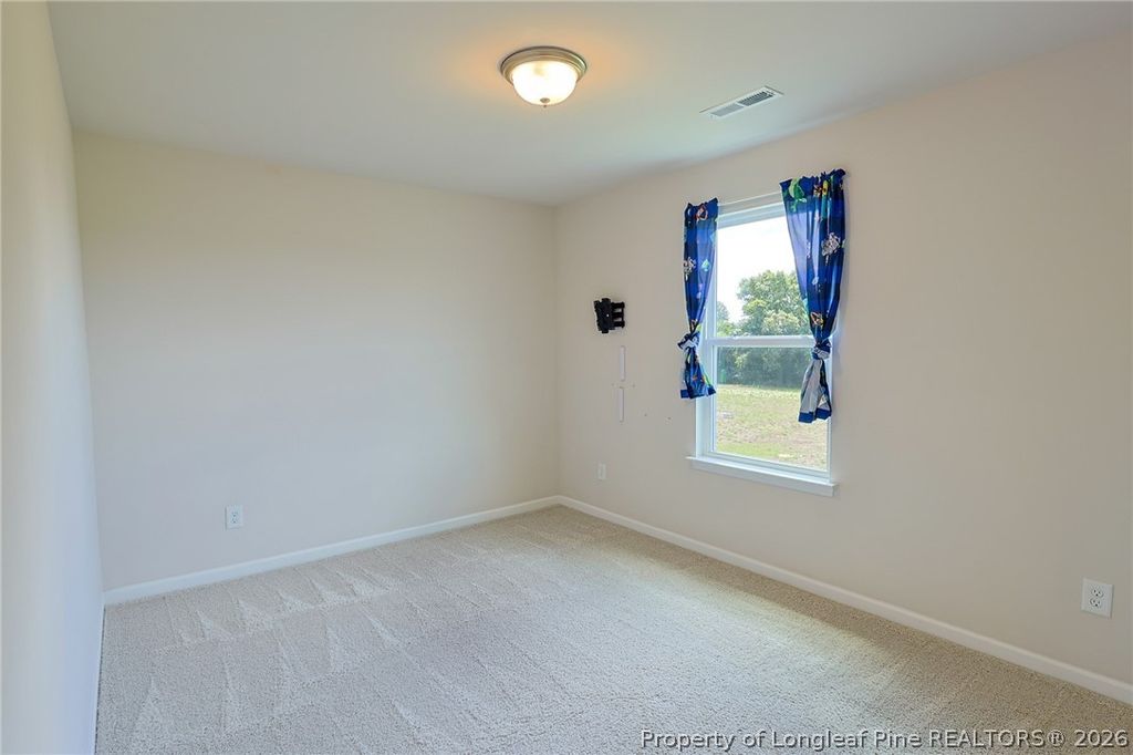 5565 Old US 421 Highway, Lillington, NC 27546 — photo 21