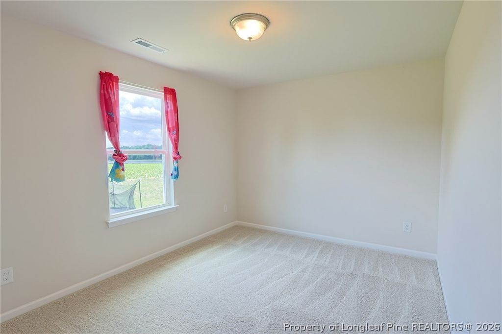 5565 Old US 421 Highway, Lillington, NC 27546 — photo 22