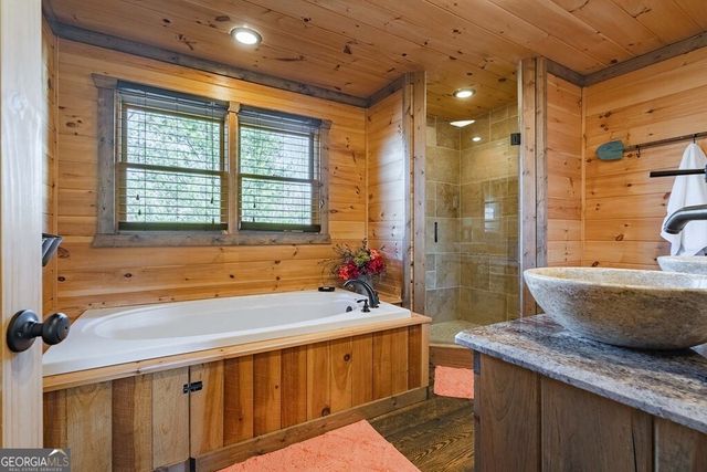 560 Endless View Road, Mineral Bluff, GA 30559