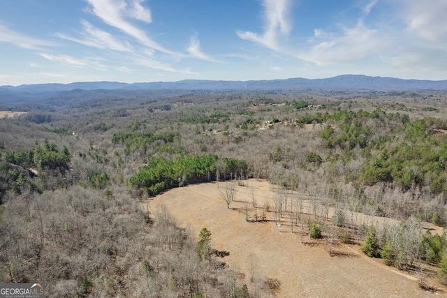560 Endless View Road, Mineral Bluff, GA 30559