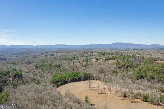 560 Endless View Road, Mineral Bluff, GA 30559