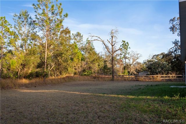 1569 W McNeal Drive, Citrus Springs, FL 34434