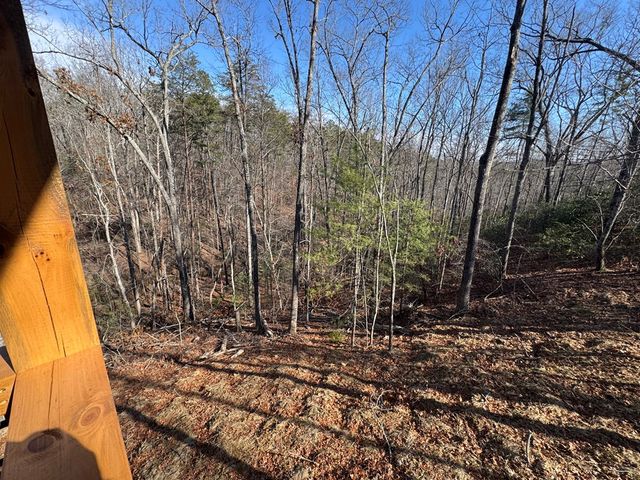 778 Moreland Drive, Ellijay, GA 30540