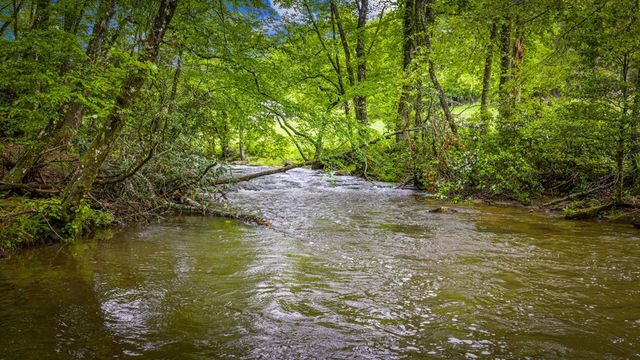 916 Old Cashes Valley Road, Blue Ridge, GA 30513