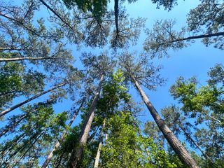 Nolan Felder Road, Magnolia, MS 39652