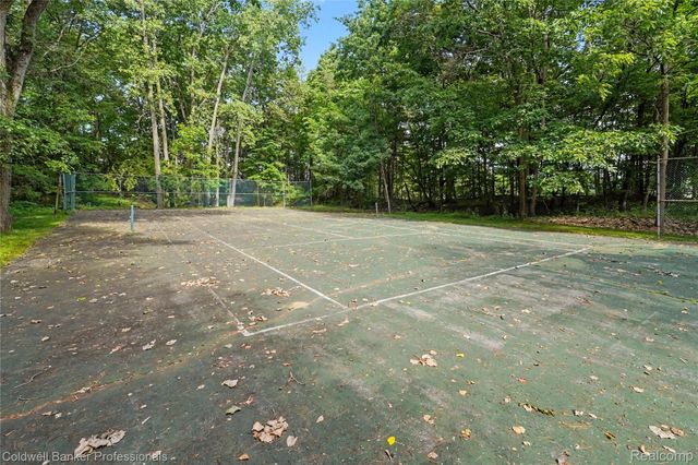 3583 Mitchell Road, Elba Township, MI 48446