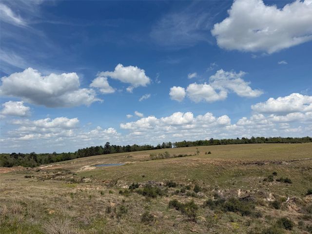 143 ac Cr 236, Oakwood, TX 75855