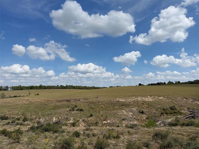 143 ac Cr 236, Oakwood, TX 75855