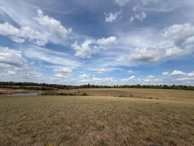 143 ac Cr 236, Oakwood, TX 75855