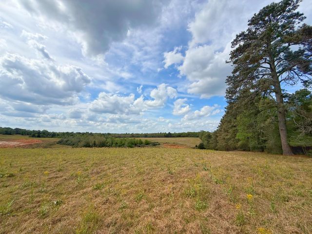 143 ac Cr 236, Oakwood, TX 75855