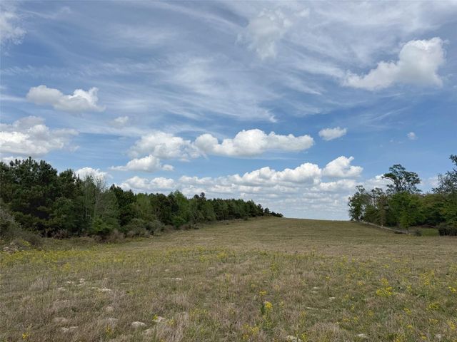 143 ac Cr 236, Oakwood, TX 75855
