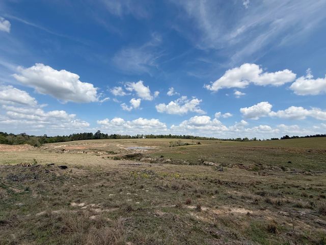 143 ac Cr 236, Oakwood, TX 75855
