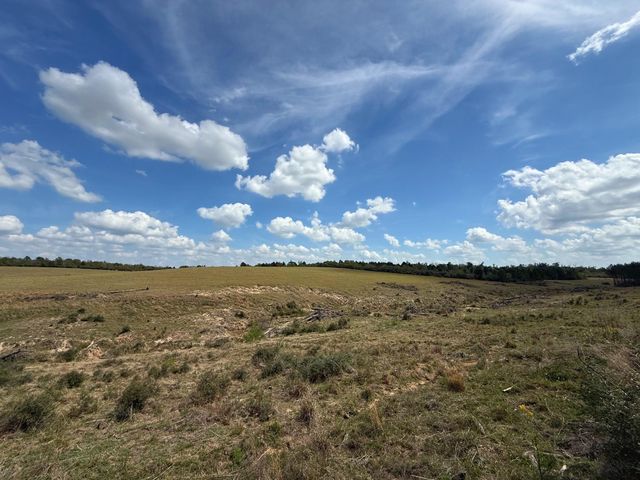 143 ac Cr 236, Oakwood, TX 75855