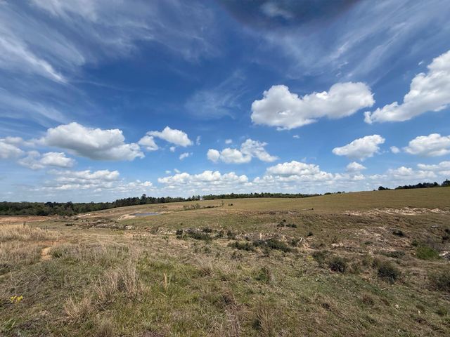 143 ac Cr 236, Oakwood, TX 75855