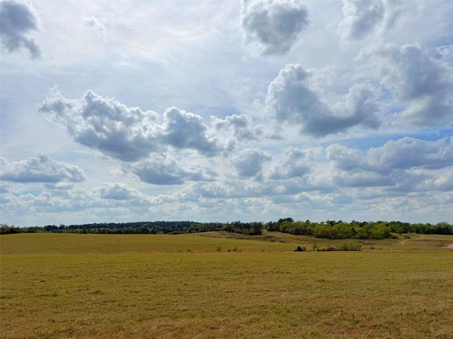 143 ac Cr 236, Oakwood, TX 75855