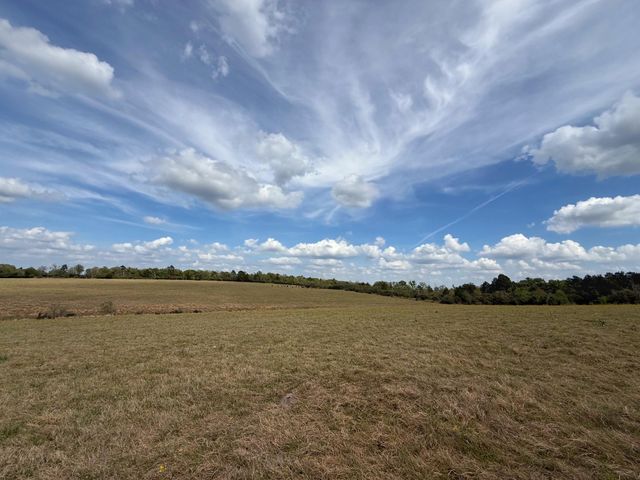 143 ac Cr 236, Oakwood, TX 75855