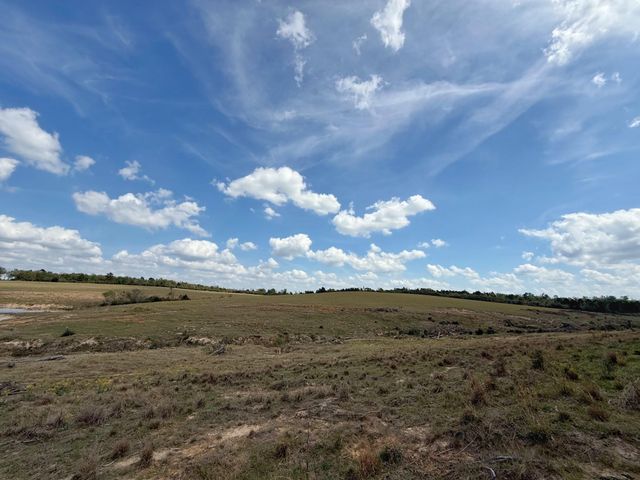 143 ac Cr 236, Oakwood, TX 75855