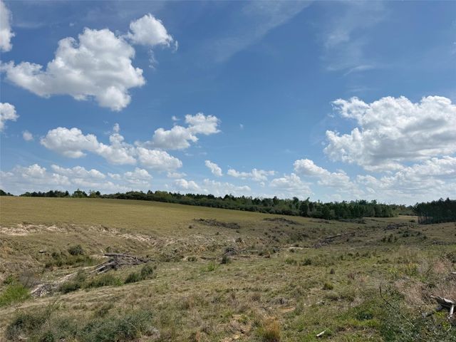 143 ac Cr 236, Oakwood, TX 75855