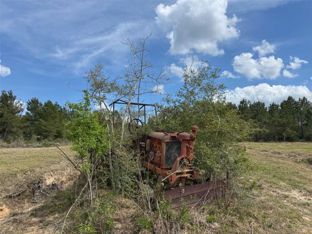 143 ac Cr 236, Oakwood, TX 75855