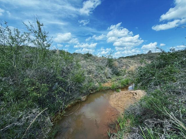 143 ac Cr 236, Oakwood, TX 75855