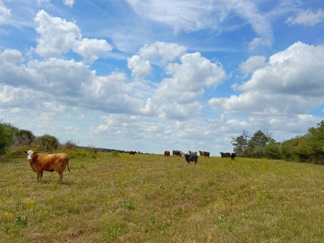 143 ac Cr 236, Oakwood, TX 75855