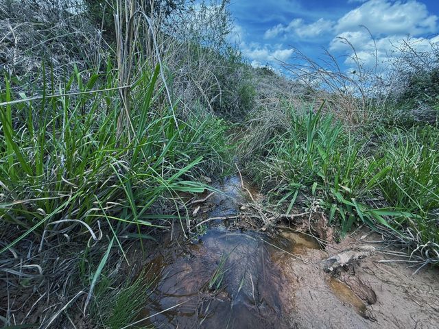 143 ac Cr 236, Oakwood, TX 75855