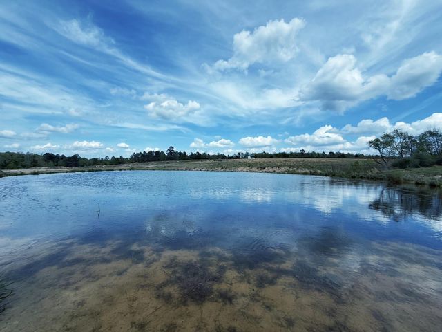 143 ac Cr 236, Oakwood, TX 75855