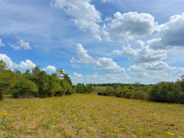 143 ac Cr 236, Oakwood, TX 75855