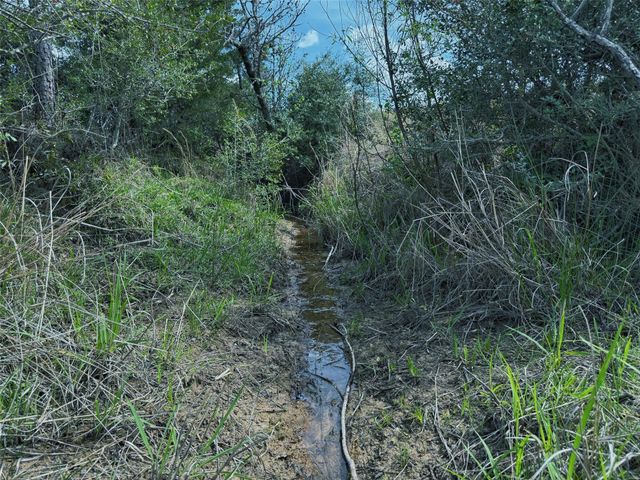 143 ac Cr 236, Oakwood, TX 75855