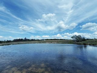 143 ac Cr 236, Oakwood, TX 75855
